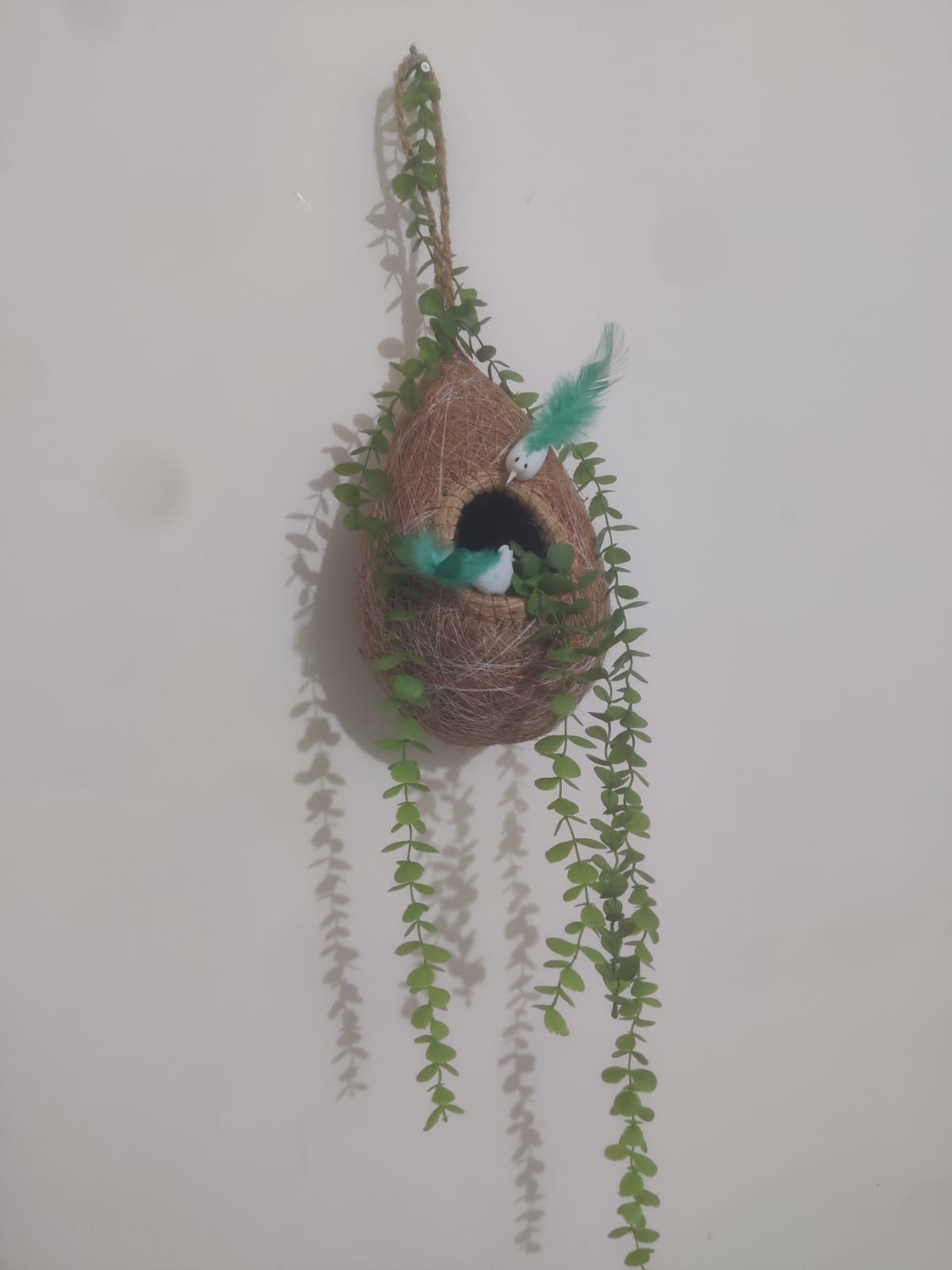 HandMade Babui Nest With Plant