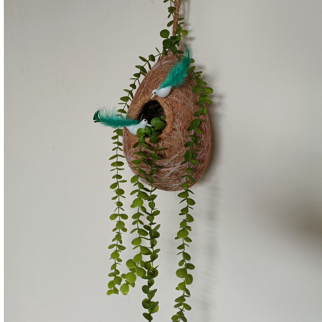 HandMade Babui Nest With Plant